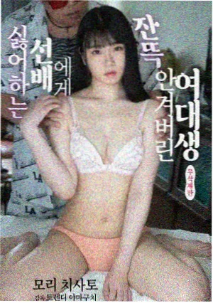 天美mv在线看免费观看电视剧全集高清 - 流金岁月